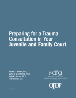 Cover Image for Preparing for a Trauma Consultation in Your Juvenile and Family Court