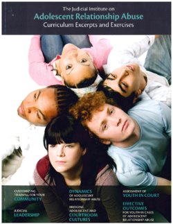  The Judicial Institute on Adolescent Relationship Abuse Curriculum Excerpts and Exercises