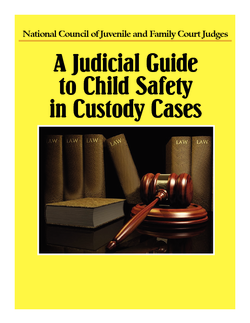 A Judicial Guide to Child Safety in Custody Cases
