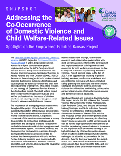 Addressing the Co-Occurrence of Domestic Violence and Child Welfare-Related Issues: Spotlight on the Empowered Families Kansas Project