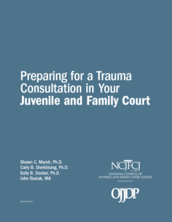 Preparing for a Trauma Consultation in Your Juvenile and Family Court Cover