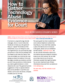 How to Gather Technology Abuse Evidence for Court Cover
