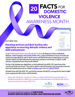20 Facts for Domestic Violence Awareness Month  Cover